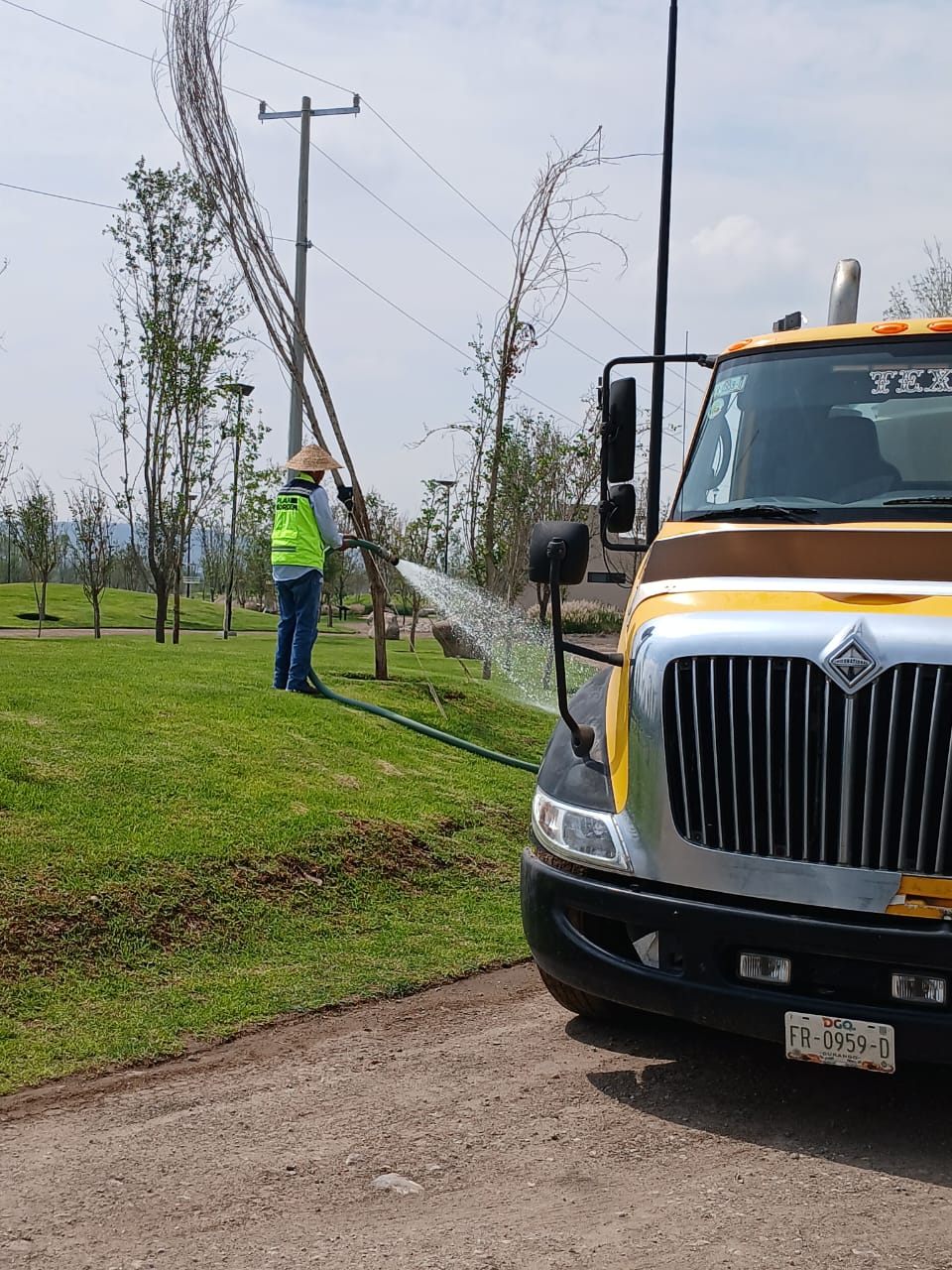 Servicio